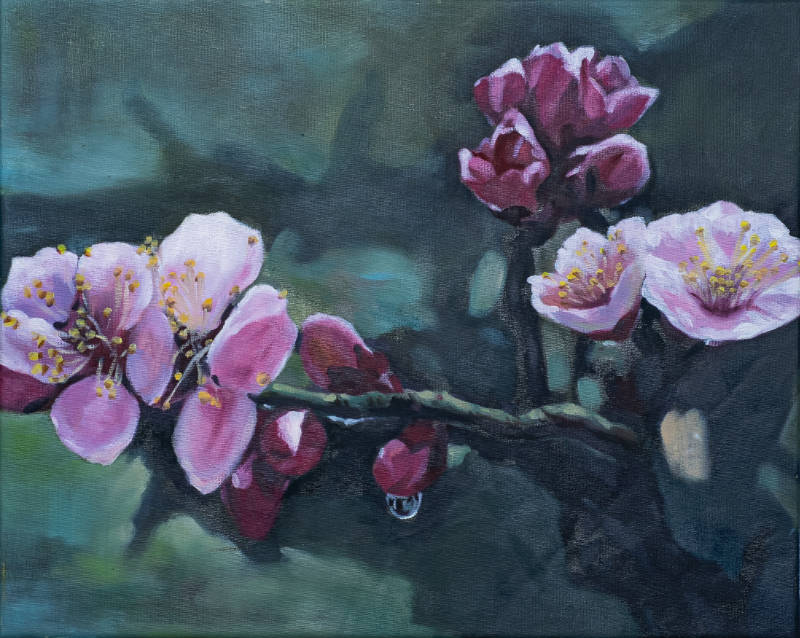 Tier-C-Apricot-Flower-60x50cm-SGD1000 Apricot Flowers by Kim So Jeong