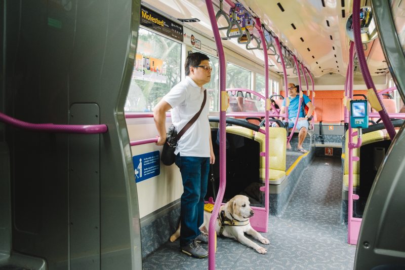 A GDS client stands on the bus with his Yellow Labrador guide dog.