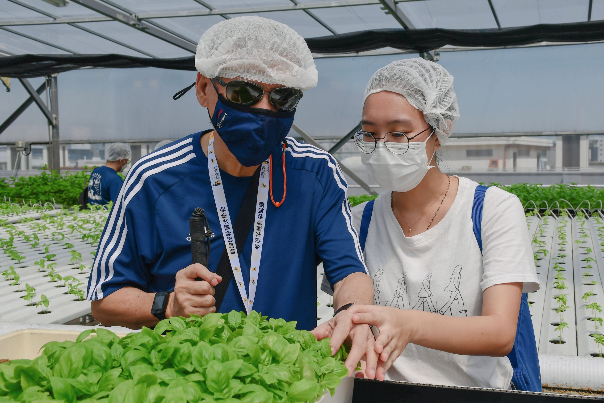 A GDS client touching plants with a student volunteer standing beside him.