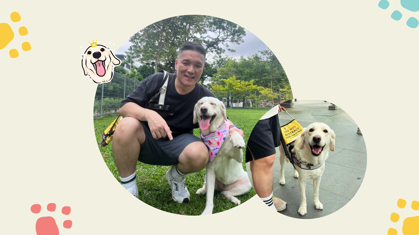 A collage of two photos featuring Thomas and his guide dog, Eve. One shows them together, while the other is a close-up of Eve wearing her harness.