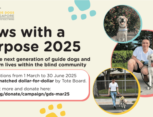 Paws With a Purpose 2025