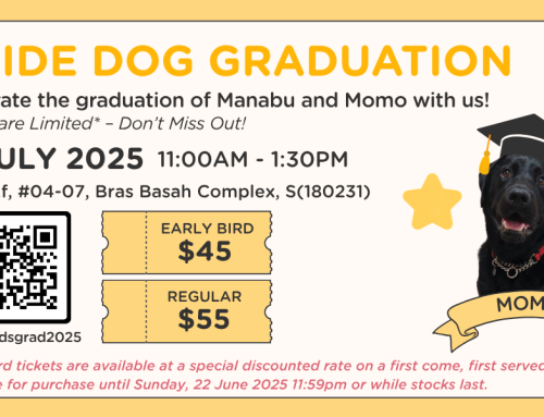Guide Dog Graduation 2025