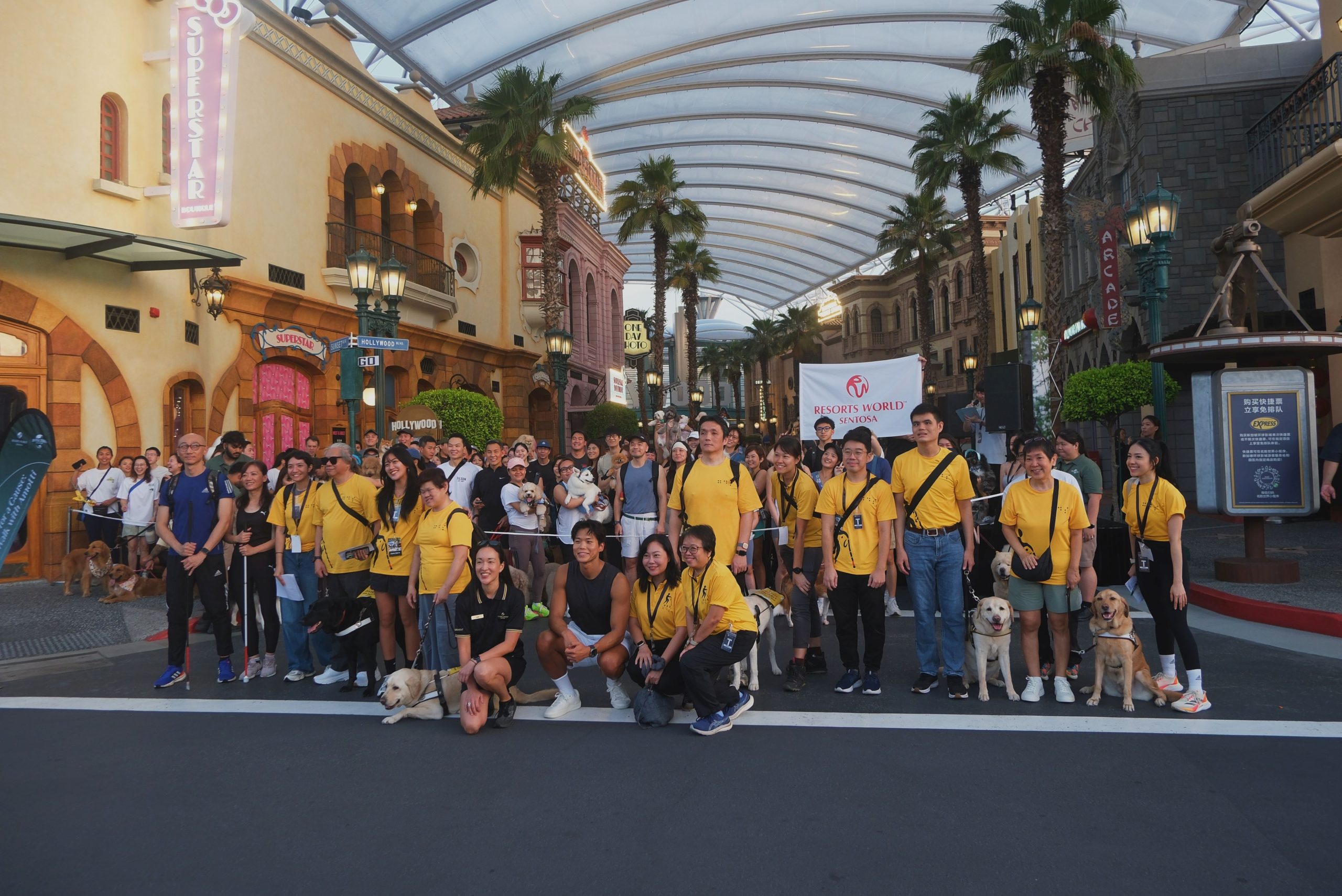 Guide dog users, staff members and celebrity figure Amotti stand at the starting line.
